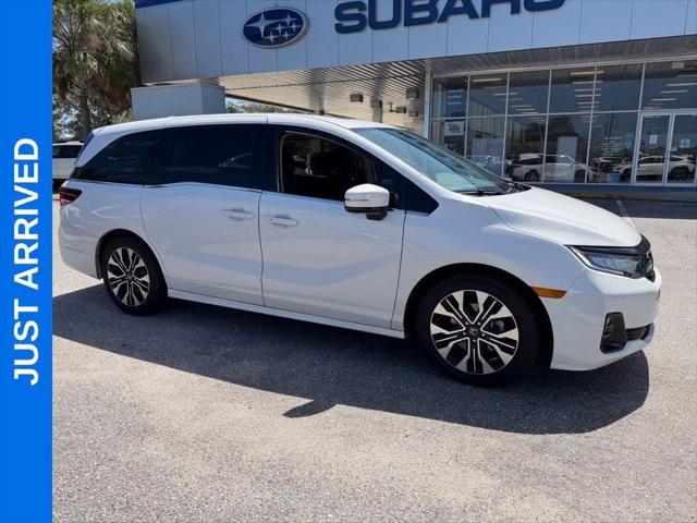 2025 Honda Odyssey Elite for sale in Jacksonville, FL