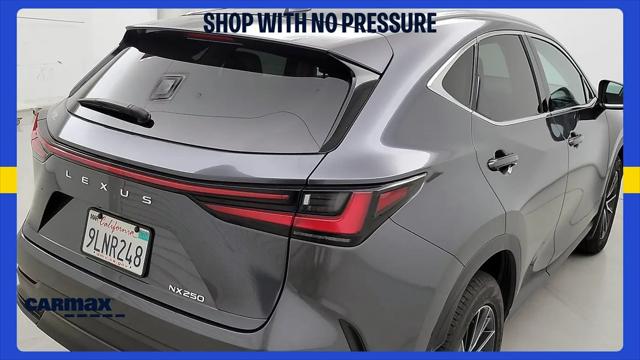 2024 Lexus NX NX 250
