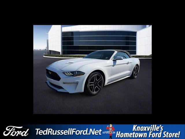 2023 Ford Mustang EcoBoost Premium Convertible for sale in Knoxville, TN