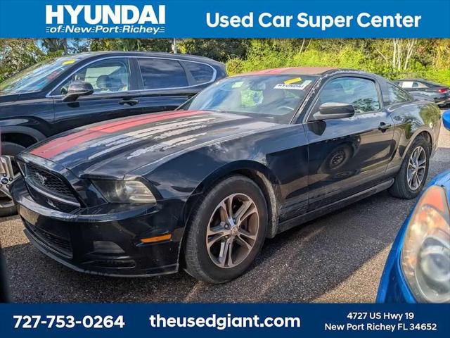 2014 Ford Mustang V6 Premium for sale in New Port Richey, FL