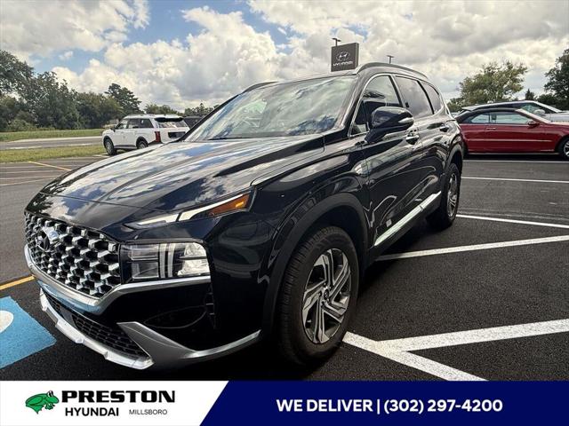2023 Hyundai Santa Fe SEL 2023 Hyundai Santa Fe SEL