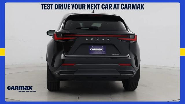 2025 Lexus NX Premium
