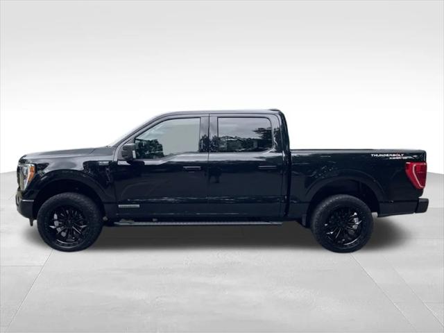 2023 Ford F-150 XLT 2023 Ford F-150 XLT