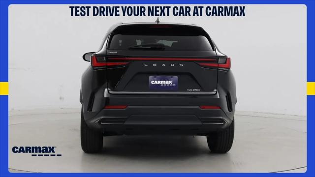 2023 Lexus NX NX 250