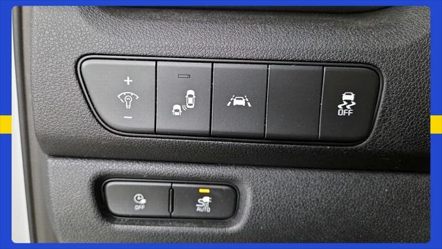 2021 Kia Niro EV EX