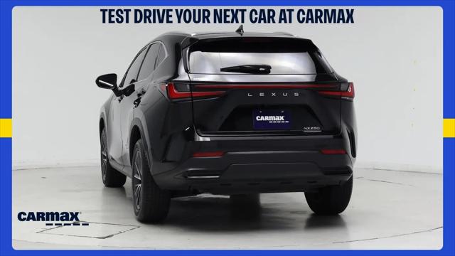 2024 Lexus NX NX 250