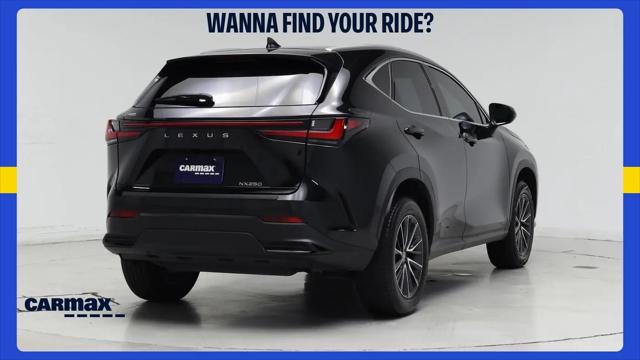 2024 Lexus NX NX 250