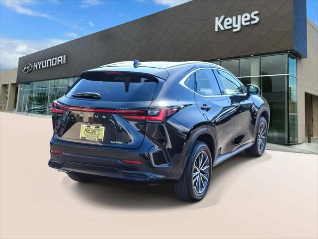 2024 Lexus NX NX 250