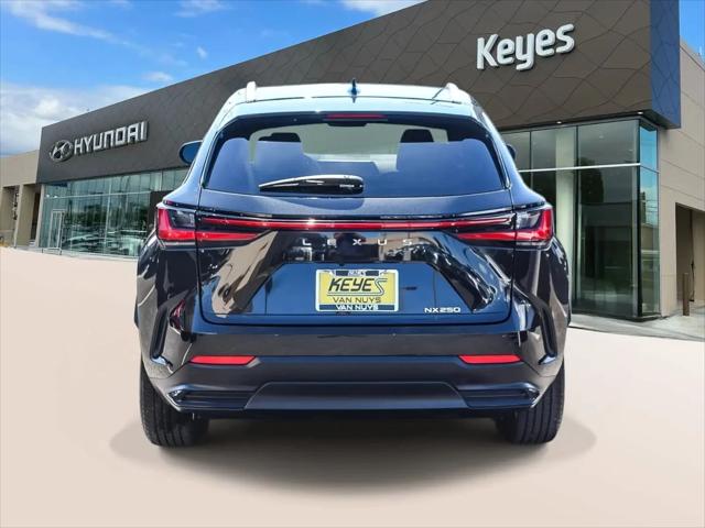 2024 Lexus NX NX 250
