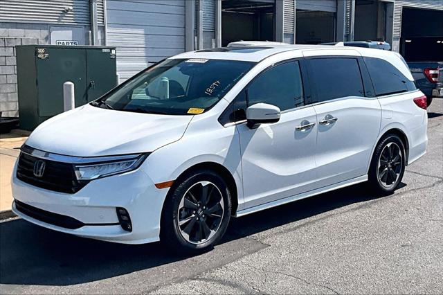 Used 2024 Honda Odisea Elite For Sale in Olive Branch, MS