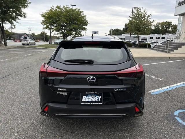 2019 Lexus UX F SPORT