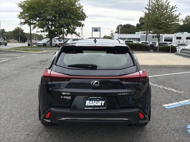 2019 Lexus UX F SPORT