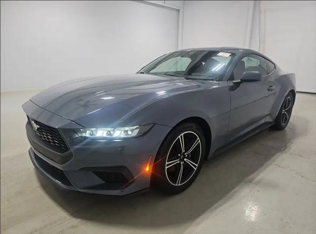 2024 Ford Mustang EcoBoost Fastback for sale in Summerville, SC