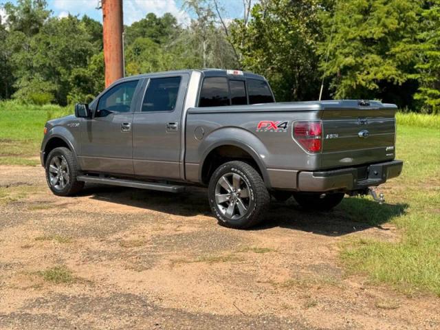2013 Ford F-150 Platinum
