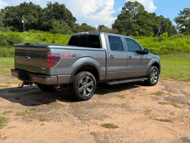 2013 Ford F-150 Platinum