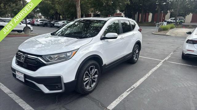 2022 Honda CR-V AWD EX for sale in Petaluma, CA