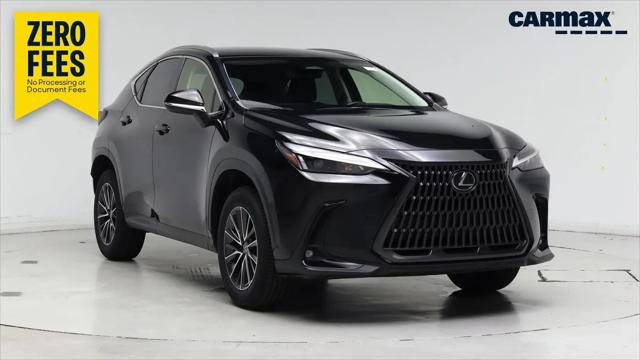 2023 Lexus NX NX 250 for sale in Daytona Beach, FL