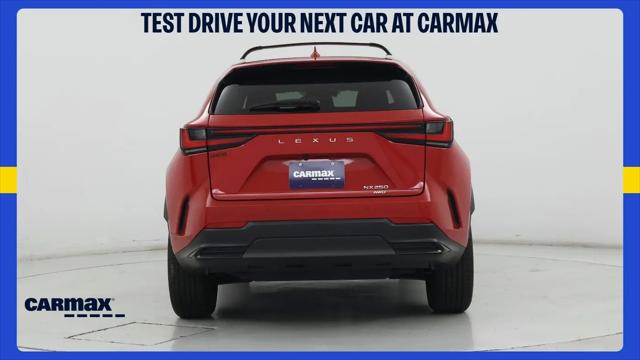 2025 Lexus NX Premium