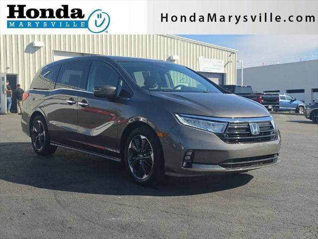 2022 Honda Odyssey Elite for sale in Marysville, OH