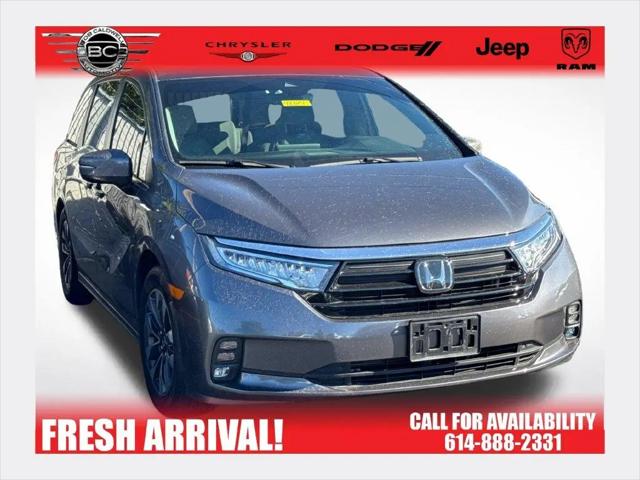 2023 Honda Odyssey EX-L for sale near Columbus, OH