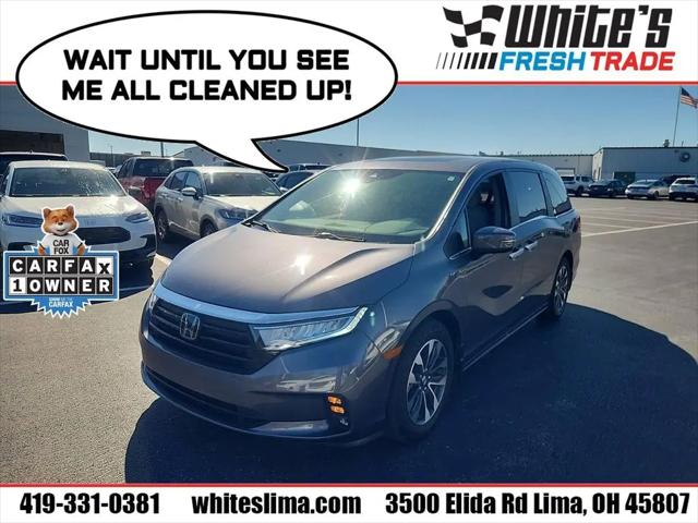 2024 Honda Odyssey EX-L for sale in Lima, OH
