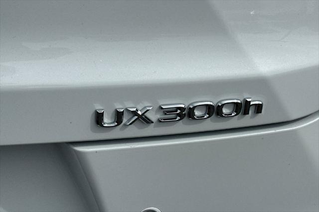 2026 Lexus 300 Premium