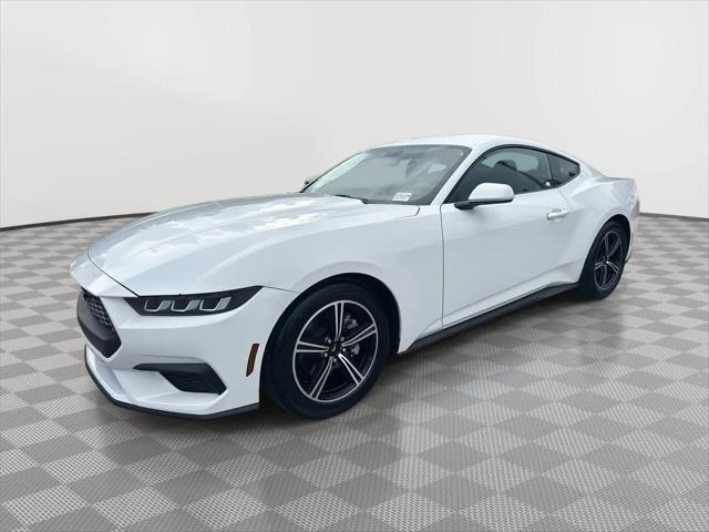 2025 Ford Mustang EcoBoost Fastback for sale in Homestead, FL
