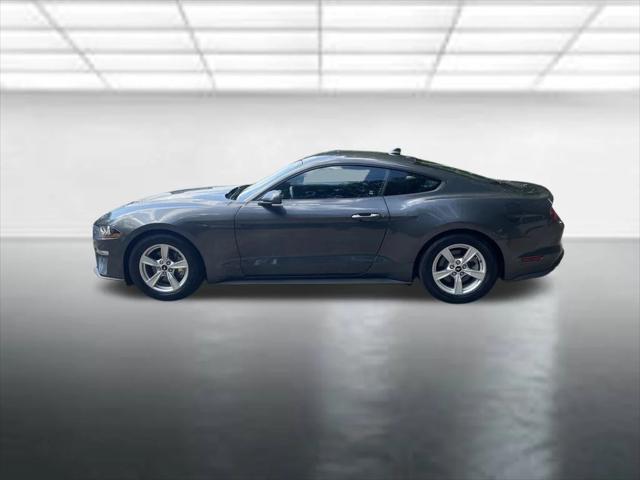 2020 Ford Mustang EcoBoost Fastback 2020 Ford Mustang EcoBoost Fastback