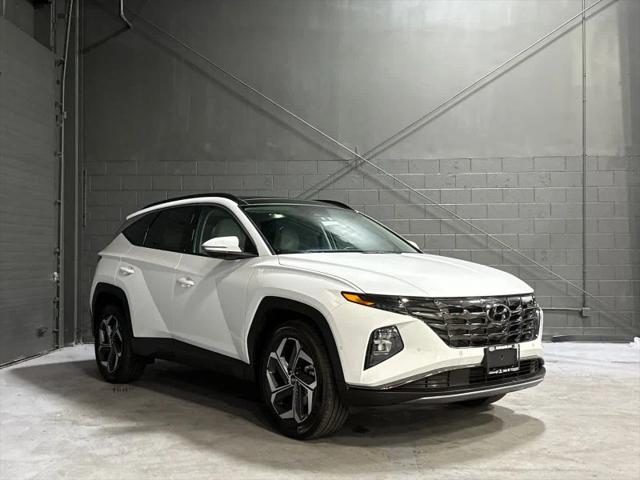 2024 Hyundai Tucson Limited for sale in Danbury, CT