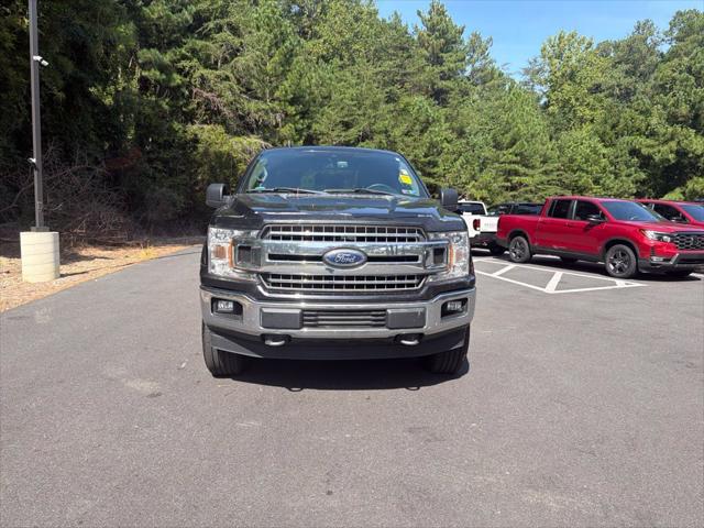 2019 Ford F-150 XLT 2019 Ford F-150 XLT
