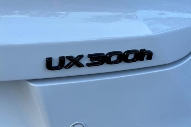 2026 Lexus 300 Premium