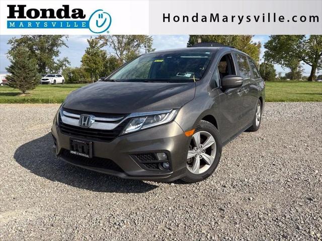 2019 Honda Odyssey EX-L for sale in Marysville, OH