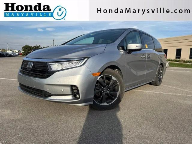 2024 Honda Odyssey Elite for sale in Marysville, OH