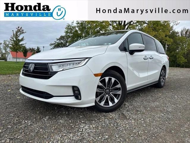 2021 Honda Odyssey EX-L for sale near Marysville, OH