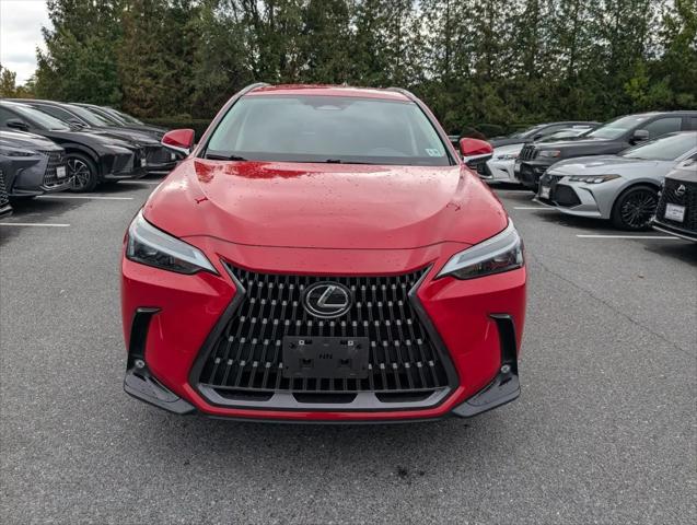 2024 Lexus NX NX 250