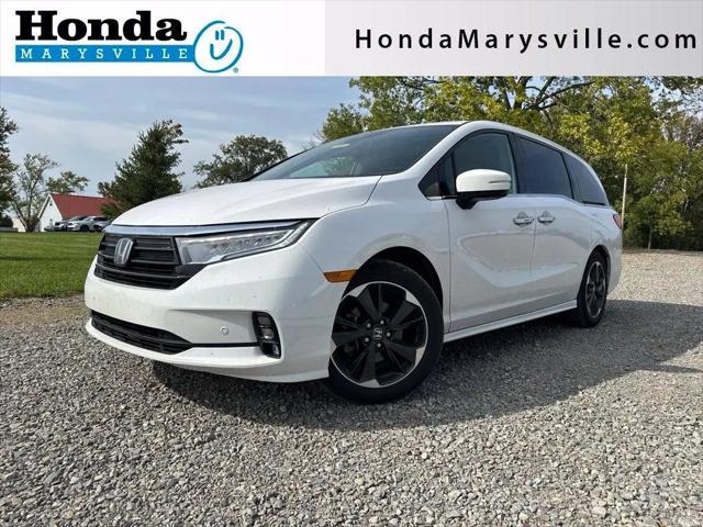 2024 Honda Odyssey Elite for sale in Marysville, OH