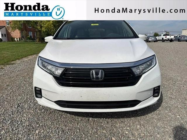 2024 Honda Odyssey Elite for sale in Marysville, OH