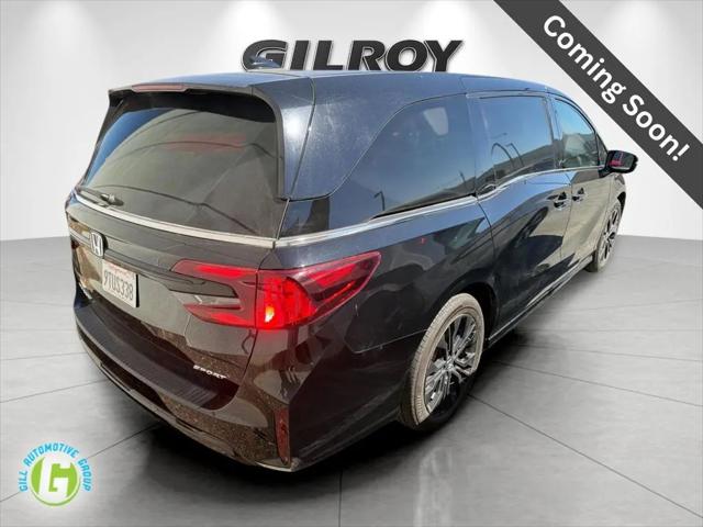 2025 Honda Odyssey Sport-L for sale in Gilroy, CA