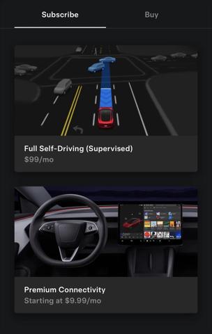 2021 Tesla Model X Performance Dual Motor All-Wheel Drive