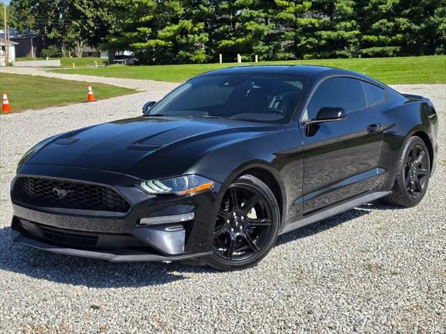 2019 Ford Mustang EcoBoost for sale near South Bloomfield, OH