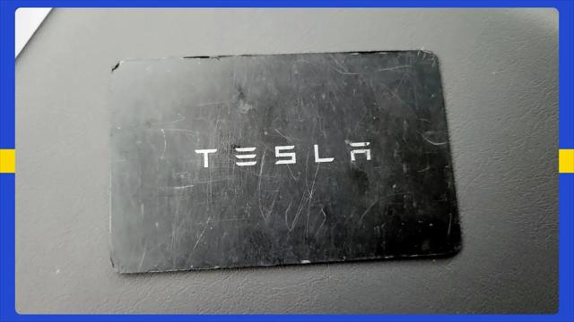 2025 Tesla Model 3 Long Range Rear-Wheel Drive
