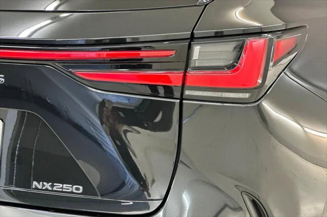2024 Lexus NX NX 250