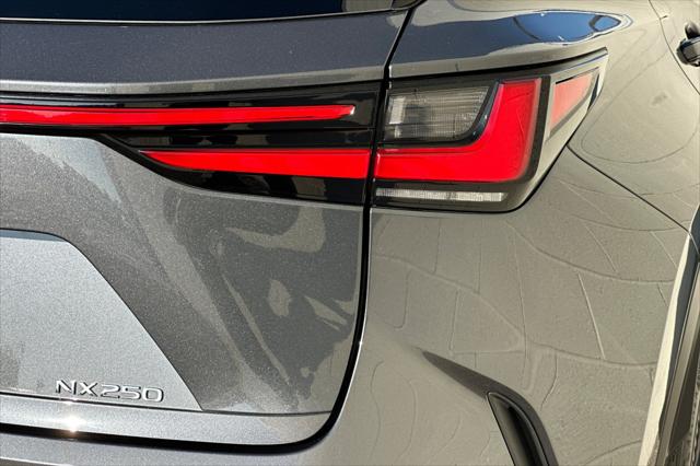 2025 Lexus NX 250 Base
