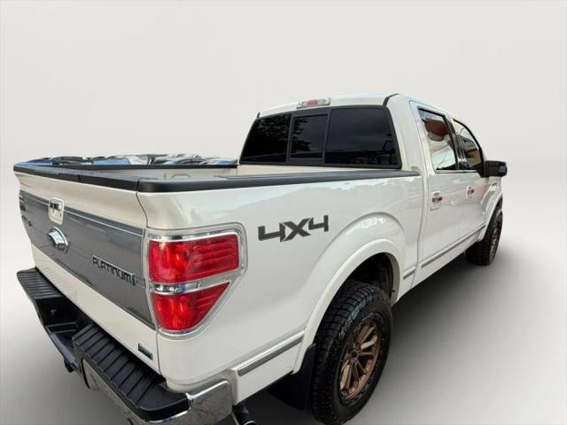 2010 Ford F-150 Platinum