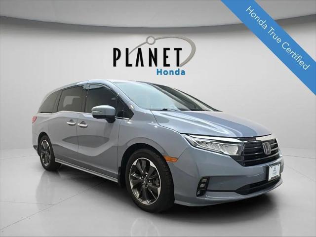 2023 Honda Odyssey Elite for sale in Golden, CO