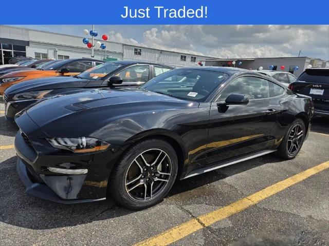 2023 Ford Mustang EcoBoost Fastback for sale in Metairie, LA