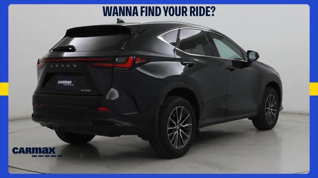2025 Lexus NX NX 250