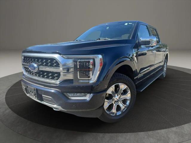 2021 Ford F-150 Platinum for sale in South Hackensack, NJ