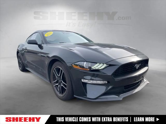 2023 Ford Mustang EcoBoost Fastback for sale in Springfield, VA