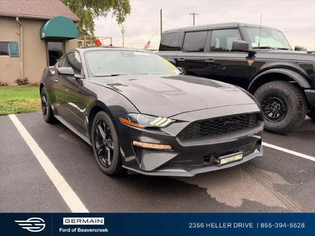 2022 Ford Mustang EcoBoost Fastback for sale near Dayton, OH